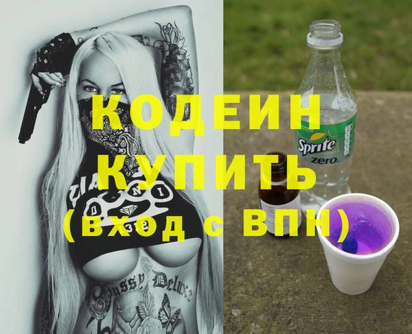 твердый Бородино