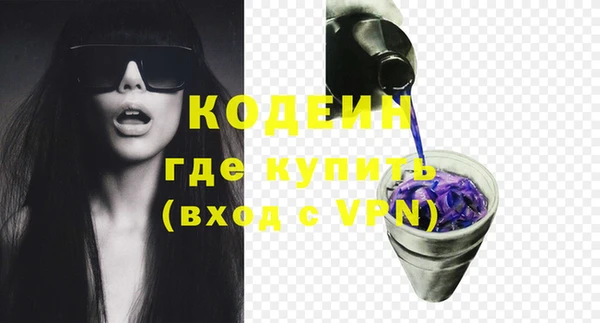 твердый Бородино