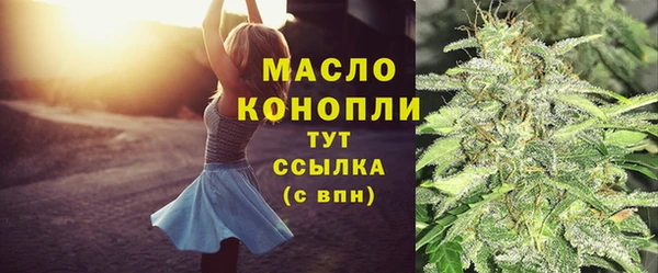 твердый Бородино