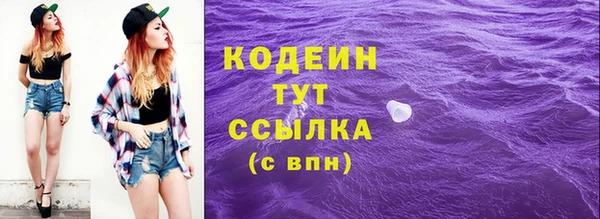 твердый Бородино