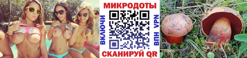 купить наркоту  Мелеуз  Галлюциногенные грибы прущие грибы 